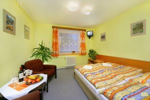 Hotel Stary Mlyn