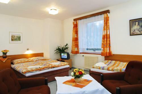 Hotel Stary Mlyn