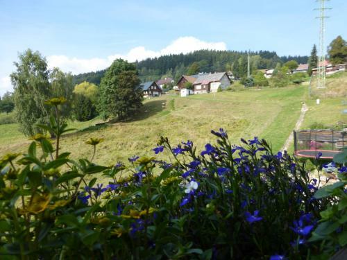 Apartm�ny Ester
