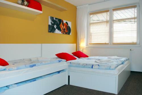 Apartm�n Rokytka U Sjezdovky