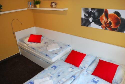 Apartm�n Rokytka U Sjezdovky