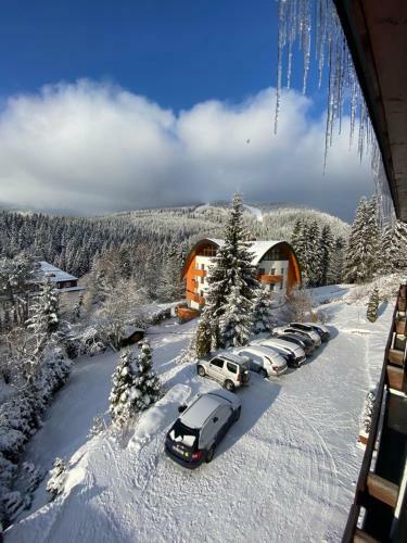 Hostal Pension Seidl