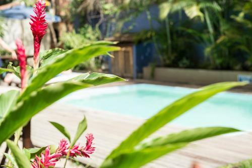 Albergue Ipanema Beach House