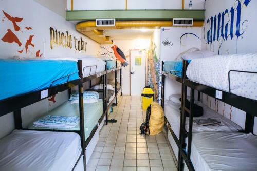 Hi Caipi Hostel