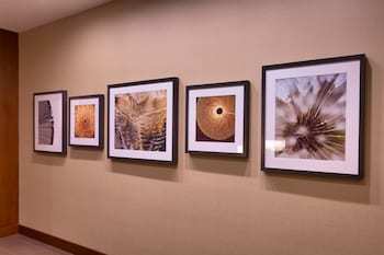 Hotel Hyatt Place Los Angeles / Lax / El Segundo
