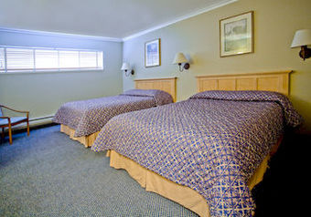 Surf Motel And Gardens
