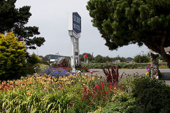 Surf Motel And Gardens