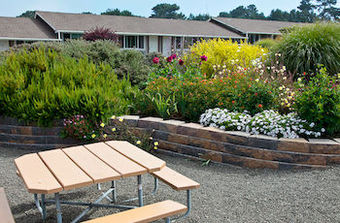 Surf Motel And Gardens