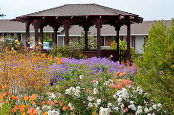 Surf Motel And Gardens