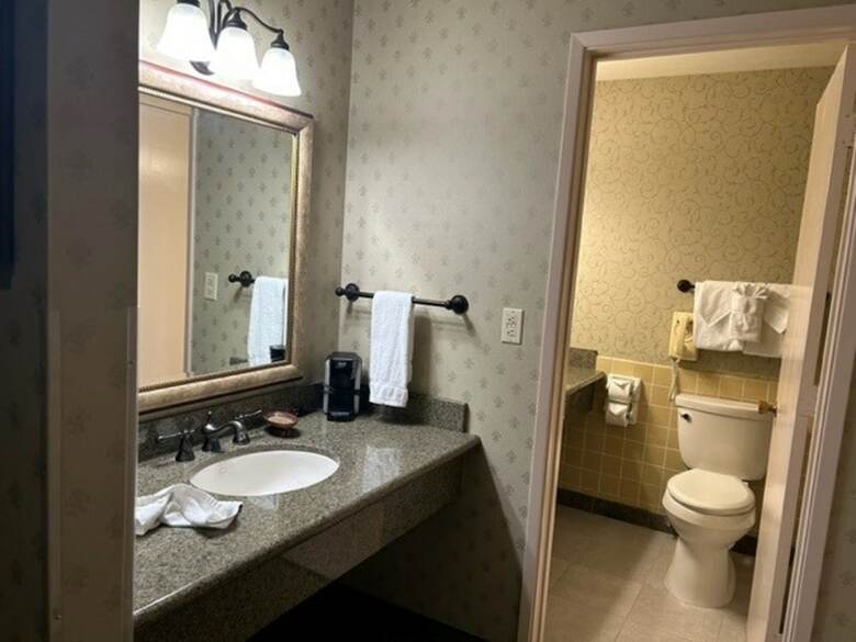 Hotel Piccadilly Inn Airport