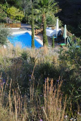 Agroturismo Cortijo Lagar De Luisa