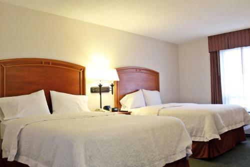 Hotel Hampton Inn Saltillo Airport Area