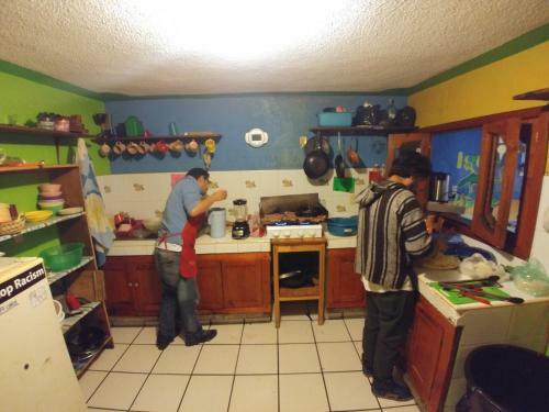 Iguana Hostel