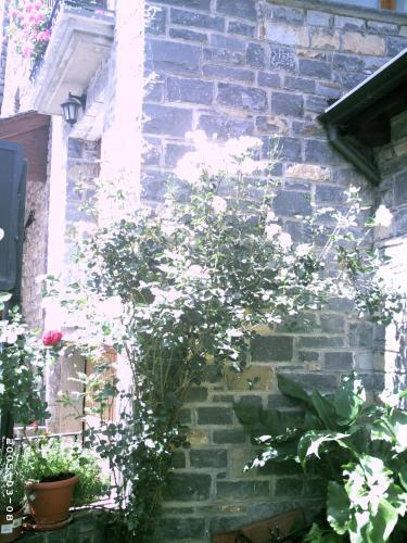 Apartamentos Gabarre