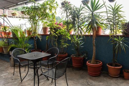 Hotel Tem�tico Mision Colonial