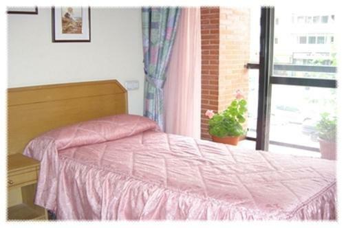 Hostal Arlanz�n