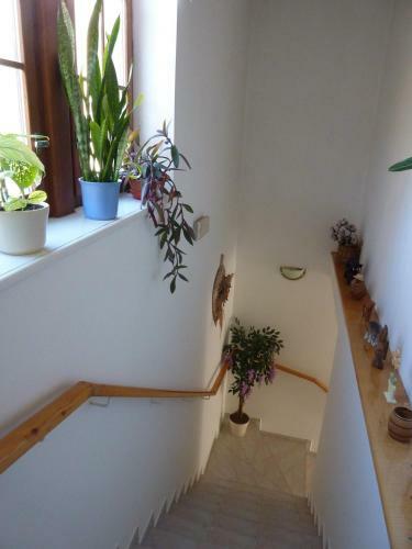 Hostal Pension Boruvka