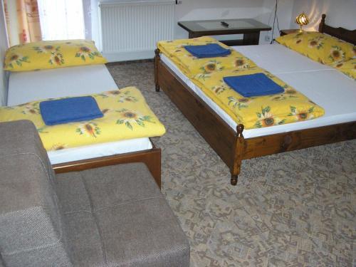 Hostal Pension-apartmany Apollo