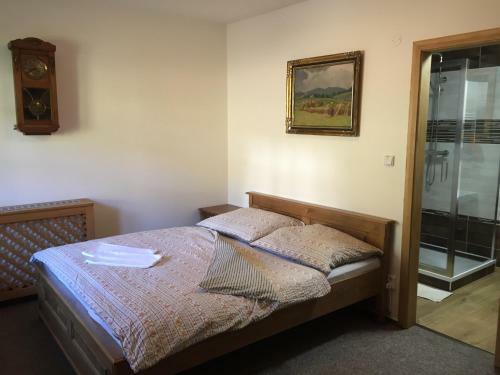 Hostal Penzion Brnenka