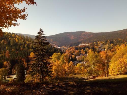 Hostal Elisabeth Pension
