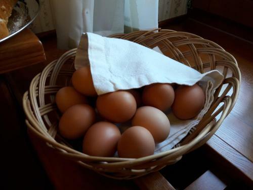 Hostal Elisabeth Pension