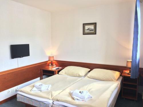 Hotel Lomnice