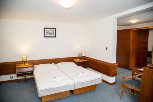Hotel Lomnice