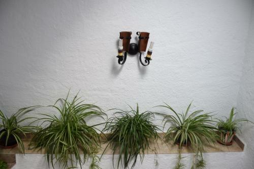 Apartamento Casa Canales