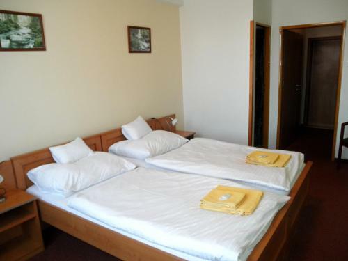 Hotel Vysocina
