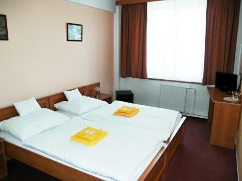 Hotel Vysocina