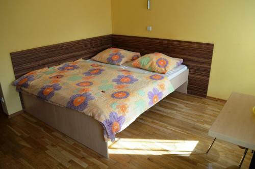 Hostal Penzion 103