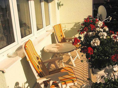 Hostal Pension Harmony