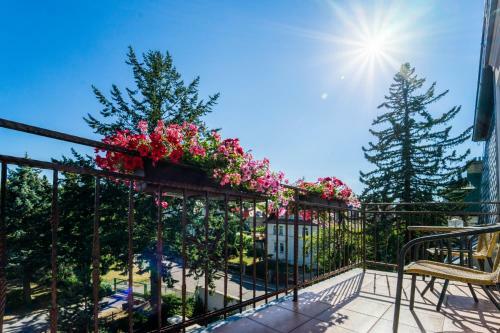 Hostal Villa Walir