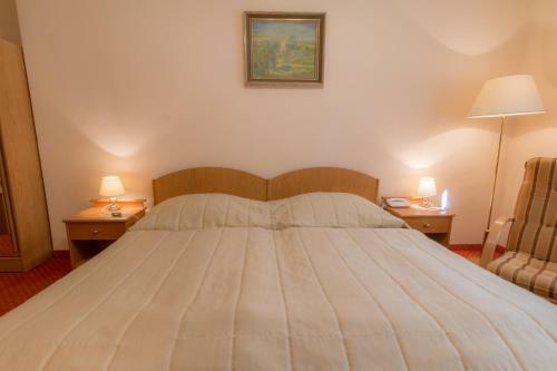 Spa Hotel Svoboda