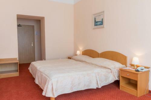 Spa Hotel Svoboda