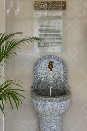 Spa Hotel Svoboda