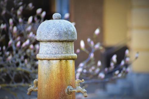 Schlosshotel Marienbad