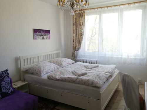 Apartments Meixner