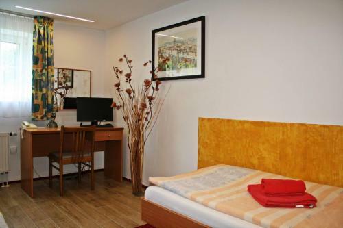 Hostal Penzion V Hlubok�