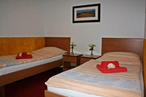 Hostal Penzion V Hlubok�