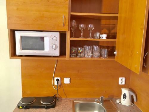 Apartment Radka