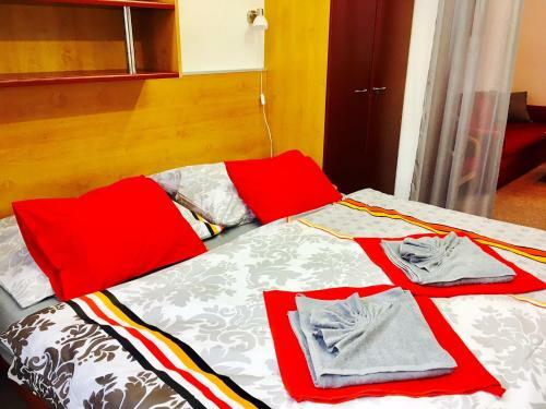 Apartment Radka