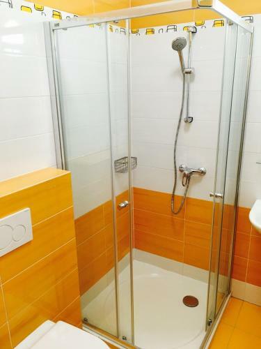 Apartment Radka