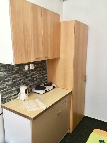 Apartment Radka