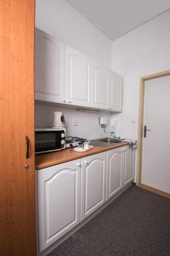 Apartment Radka