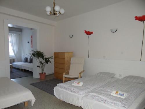 Apartm�ny Roz�rka