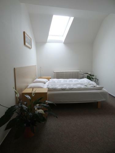 Apartm�ny Roz�rka