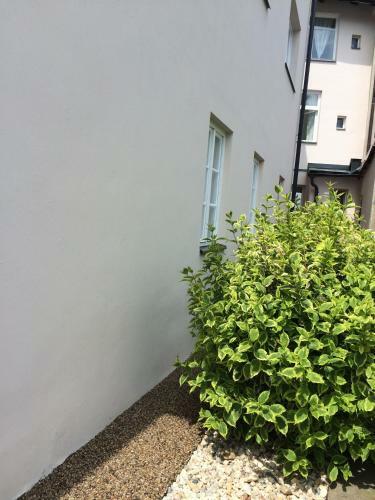 Apartm�ny Roz�rka