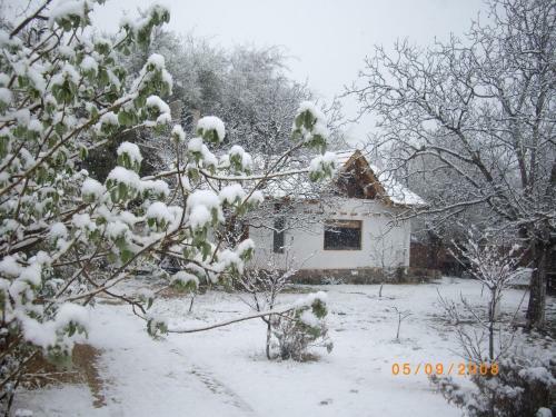 Lodge Algarrobo Luz Caba�as
