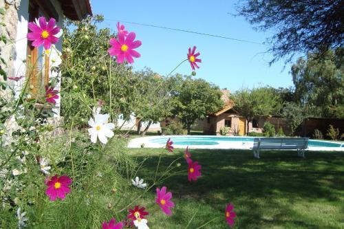 Lodge Algarrobo Luz Caba�as